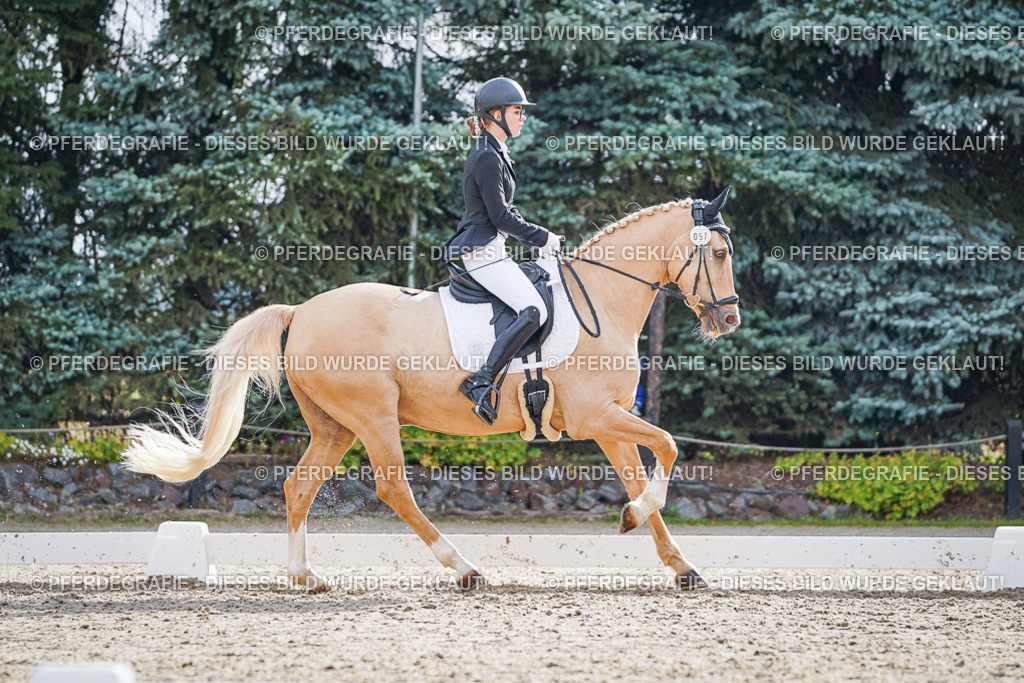 DSC00888 | Pferdegrafie