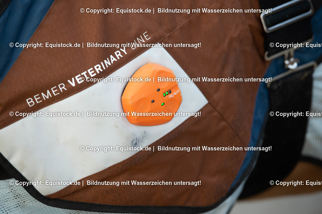 20200928_Bemer_Decke_0009 | equistock