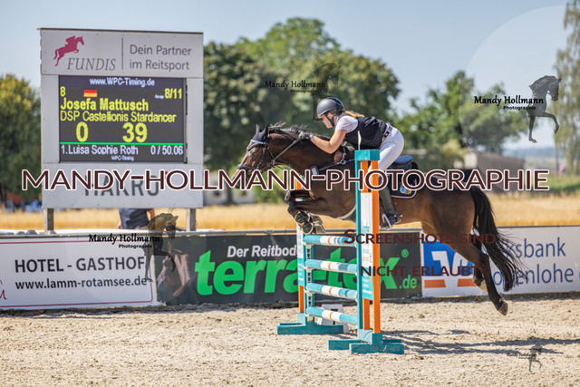 26-7-25 Pony L-142 | mandyhollmannphotographie