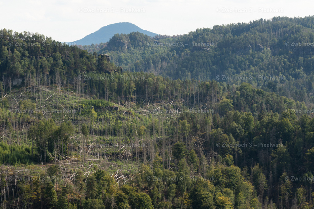 Grosser_Teichstein_Aussicht_Grosser_Zschand_Rosenberg_Waldsterben | 2022-08-30_Waldbrandgebiete_1 - Realisiert mit Pictrs.com