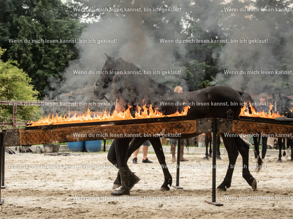 598A6666 | photographylinaismer - Realisiert mit Pictrs.com