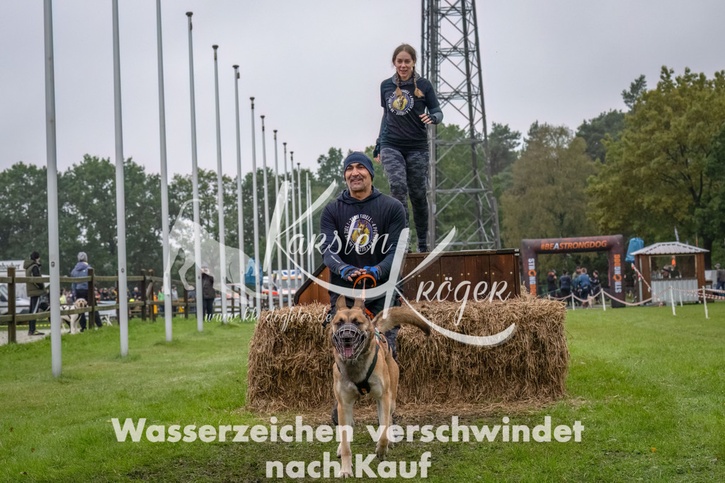 1223--6 | kk-dogfotos