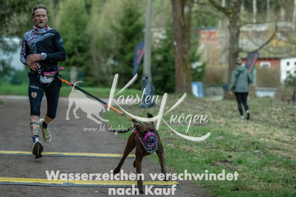 0840_ZZ99844-Bearbeitet | kk-dogfotos