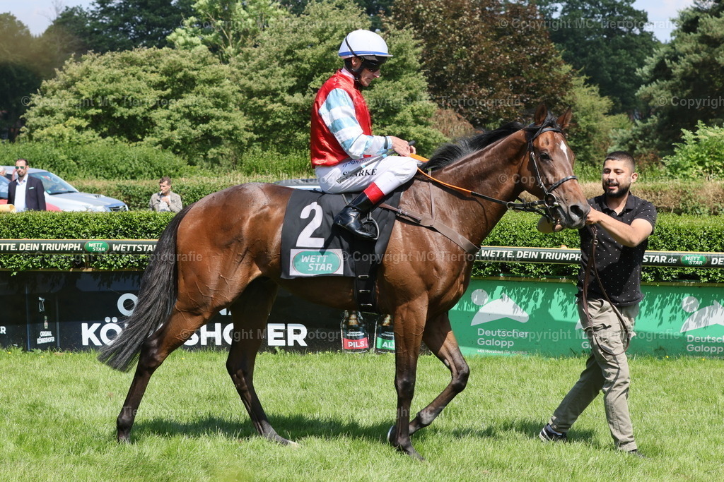 3H5A1657 | Pferdefotos online bestellen - Realisiert mit Pictrs.com
