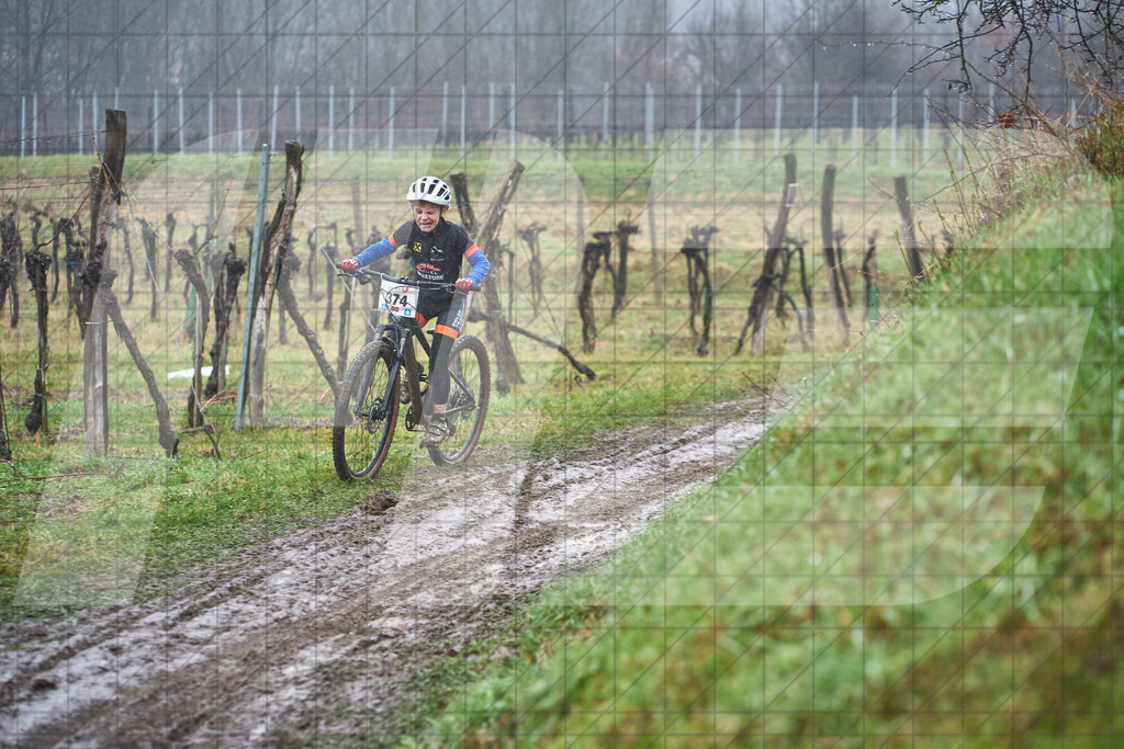 33. KTM Kamptal Trophy | 29.03.2025: 33. KTM Kamptal Trophy in Zöbing, Niederösterreich, ÖsterreichFoto: © 2025 Martin Bihounek / martinbihounek.comInsta: @martinbihounekcomFB: @martinbihounekphotography