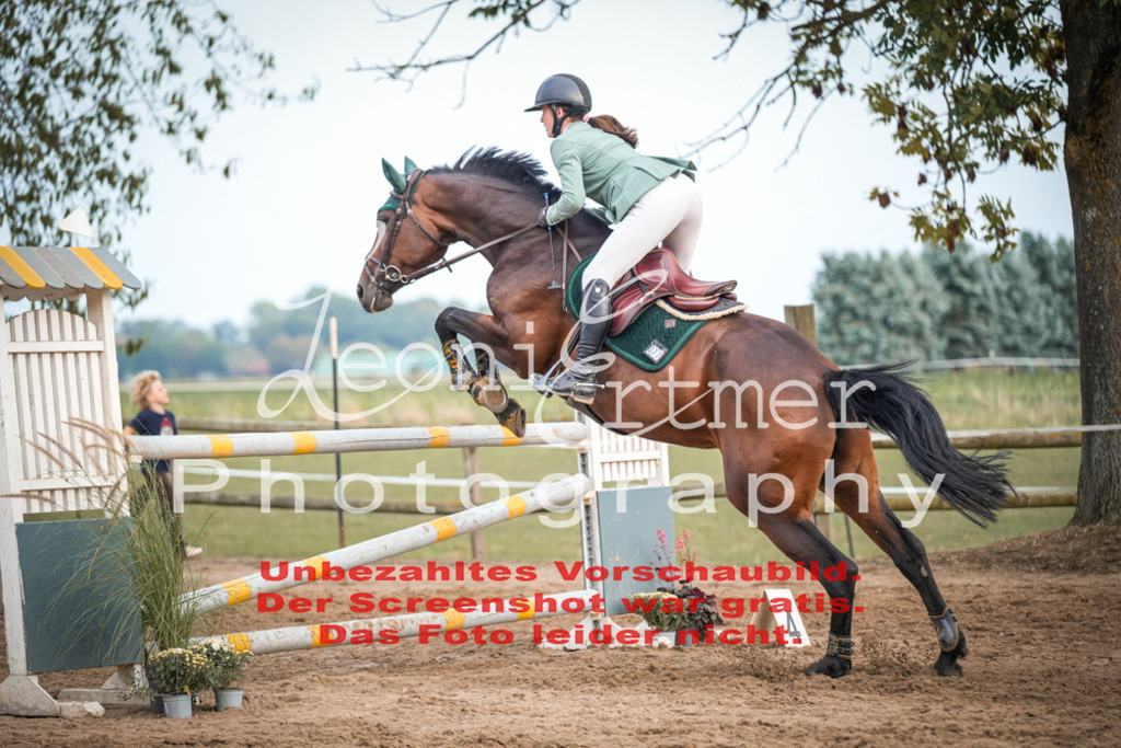 22.SaSpAL00346 | Leoni Ertmer Photography - Realisiert mit Pictrs.com