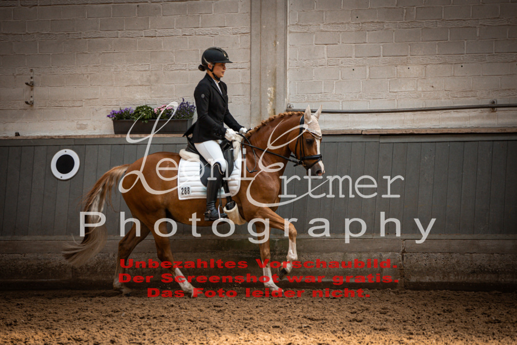 9.SaDrRL00450 | Leoni Ertmer Photography - Realisiert mit Pictrs.com