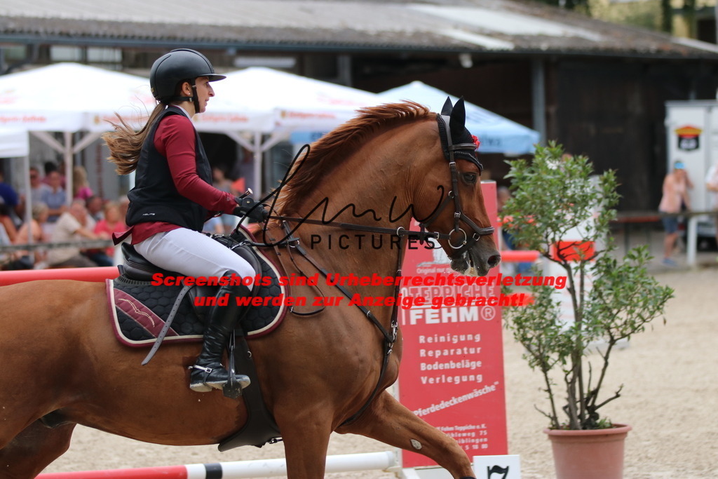 IMG_2814 | lmwpictures - Realisiert mit Pictrs.com