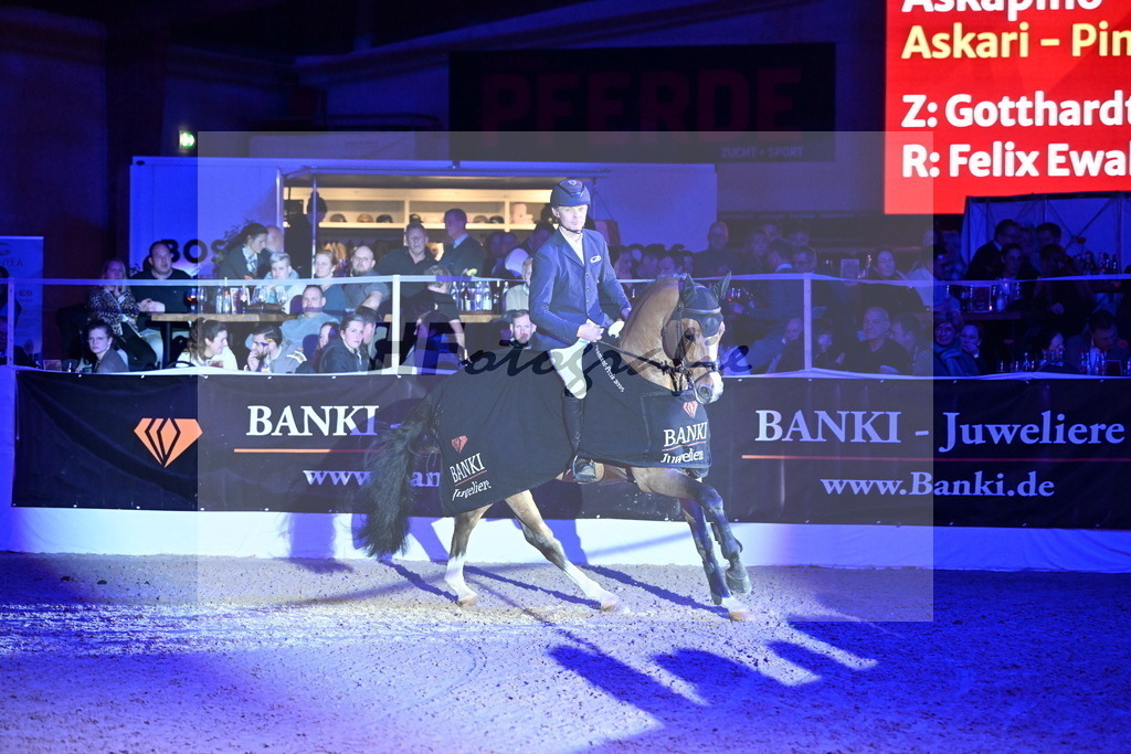 Askapino_Ewald_2254767 | hf-fotografie - Realisiert mit Pictrs.com