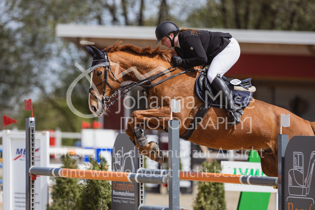 230501_SpengeW_M2St-181 | Deine schönsten Turniermomente als professionelle Fotos! Entdecke hochwertige Pferdesport-Fotografie im Online-Shop. Jetzt Fotos finden & bestellen!