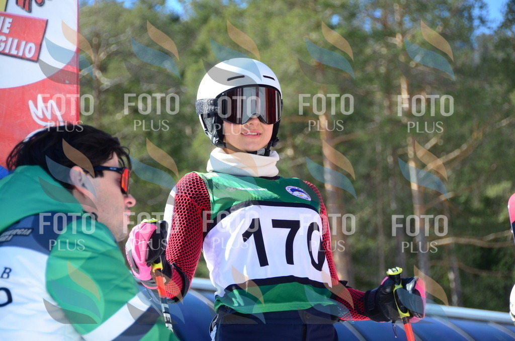 C6285 | holidayphoto