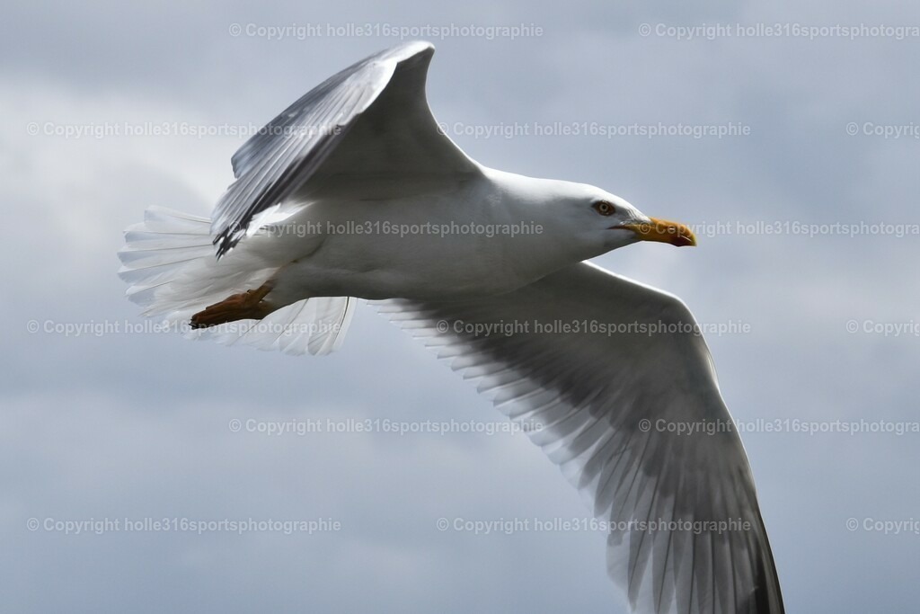 DSC_0055 (2) | Sportfotografie , Motorsport, Motoross, Reitsport, Mointainbike, Enduro,
Landschaft , Outdoor, Eventfotografie, Landschaft, Bilder online bestellen - Realisiert mit Pictrs.com