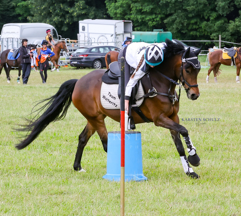 1B3A1458 | Reitsport Reiten