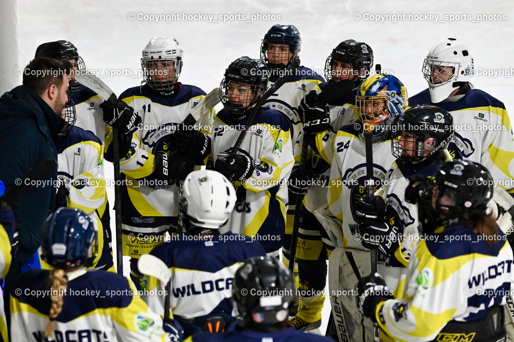 LADY HAWKS vs. WILDCATS PATERNION | Wildcats Paternion Mannschaft, Headcoach WILDCATS PATERNION Marcell Ott, LADY HAWKS vs. WILDCATS PATERNION, LADY HAWKS vs. WILDCATS PATERNION am 12.03.2025 in Steindorf (Ossiachersee Halle), Austria, (Photo by Bernd Stefan)