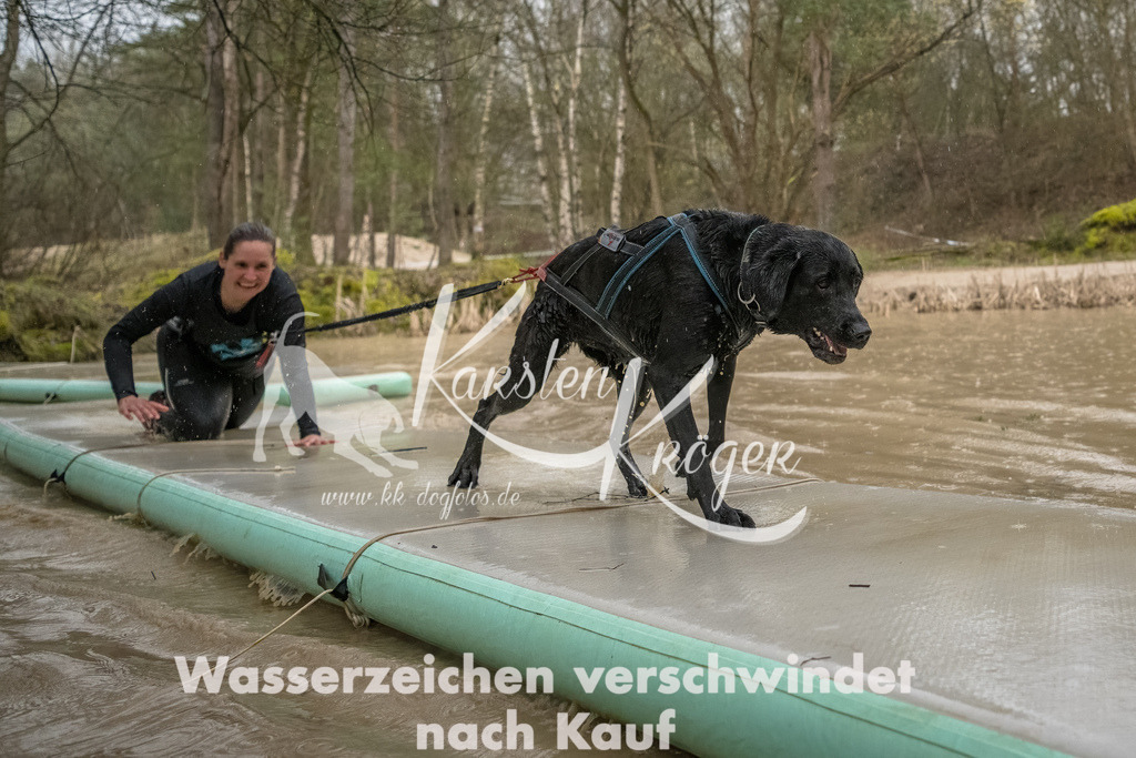 1057_ZZ93875-Bearbeitet | kk-dogfotos