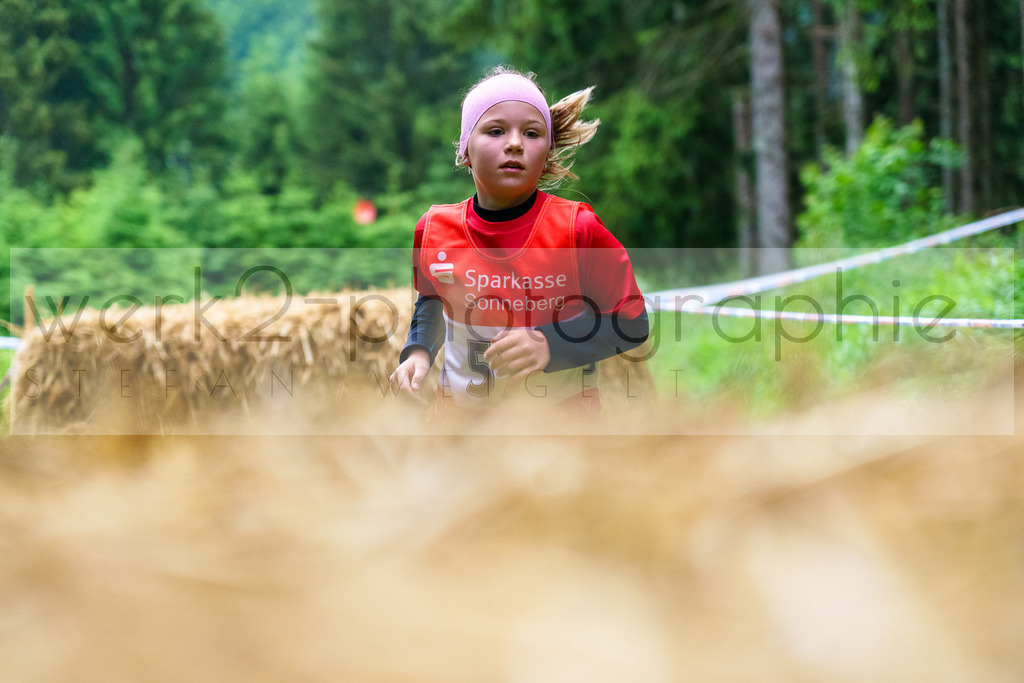 Hindernis-Cross Scheibe-Alsbach | Biathlonanlage "Am Rußtiegel" am 15. Juni 2024
