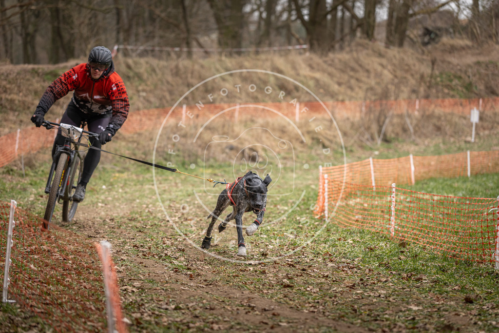 Pfotenfotografie_DV3A6749 | Hundefotografie, Tierfotograf, Pfotenfotografie, Fotoshooting Hund, Hunde Portrait, Hundesport, Hundeportraits, Heideshooting, Hunde, Sportfotograf, Hundefotograf, Turnierhundsport, THS,  - Realisiert mit Pictrs.com