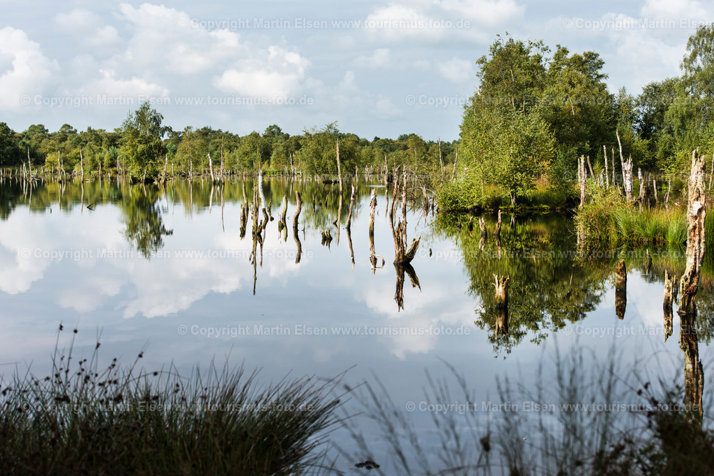 Oldendorf Hohes Moor_ELS_9222150816 | Oldendorf - Aufnahmedatum: 15.08.2016, Aufnahmehöhe:  m, Koordinaten:  - , Bildgröße: 7172 x  4786 Pixel - Copyright 2016 by Martin Elsen, Kontakt: Tel.: +49 157 74581206, E-Mail: info@schoenes-foto.deSchlagwörter:Hohes Moor,Moor,Landschaft,Samtgemeinde Himmelpforten, Insel, Niedersachsen,Martin Elsen, Landkreis Stade, - Realisiert mit Pictrs.com