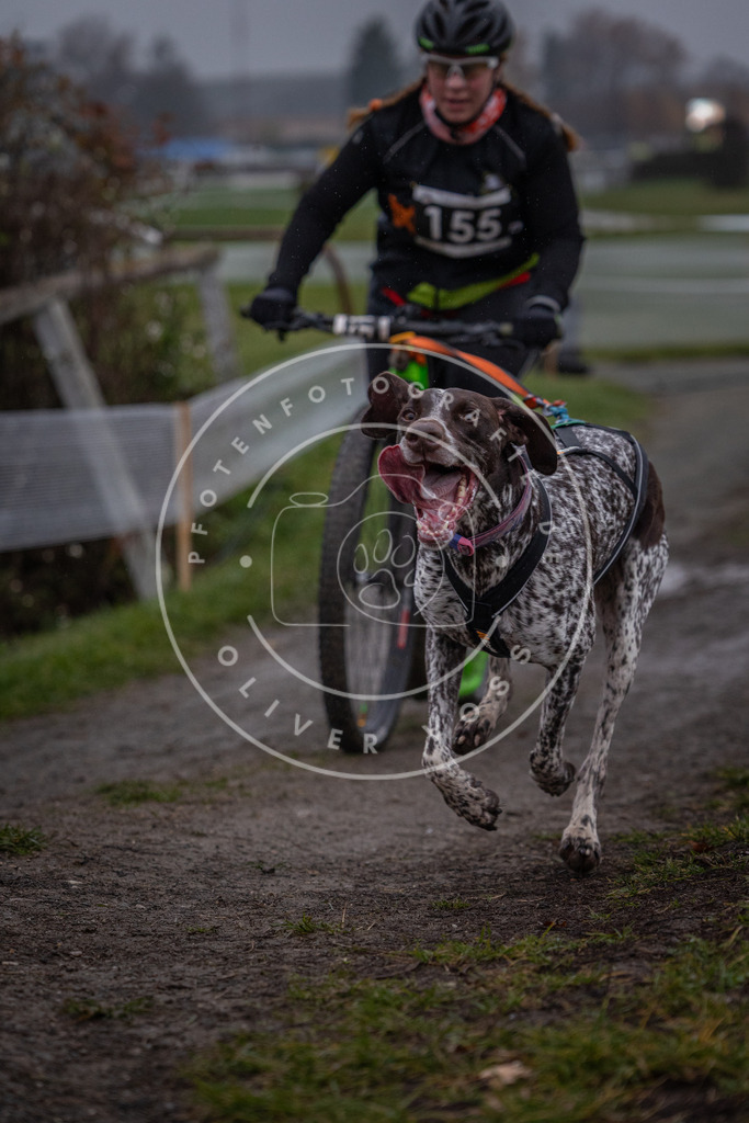 CaniXpix_0L8A0568 | Hundefotografie, Tierfotograf, Pfotenfotografie, Fotoshooting Hund, Hunde Portrait, Hundesport, Hundeportraits, Heideshooting, Hunde, Sportfotograf, Hundefotograf, Turnierhundsport, THS,  - Realisiert mit Pictrs.com
