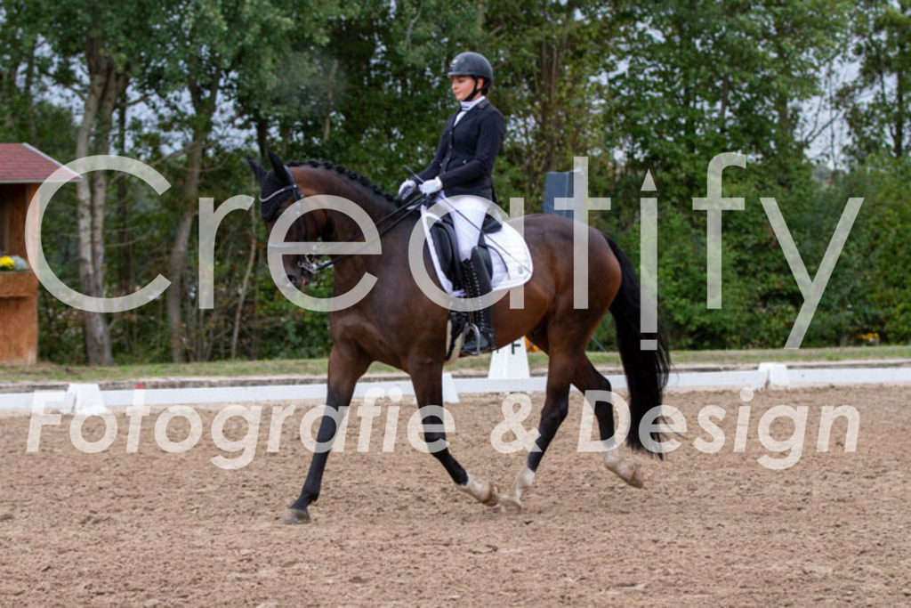 IMG_5853 | Creatify Fotografie