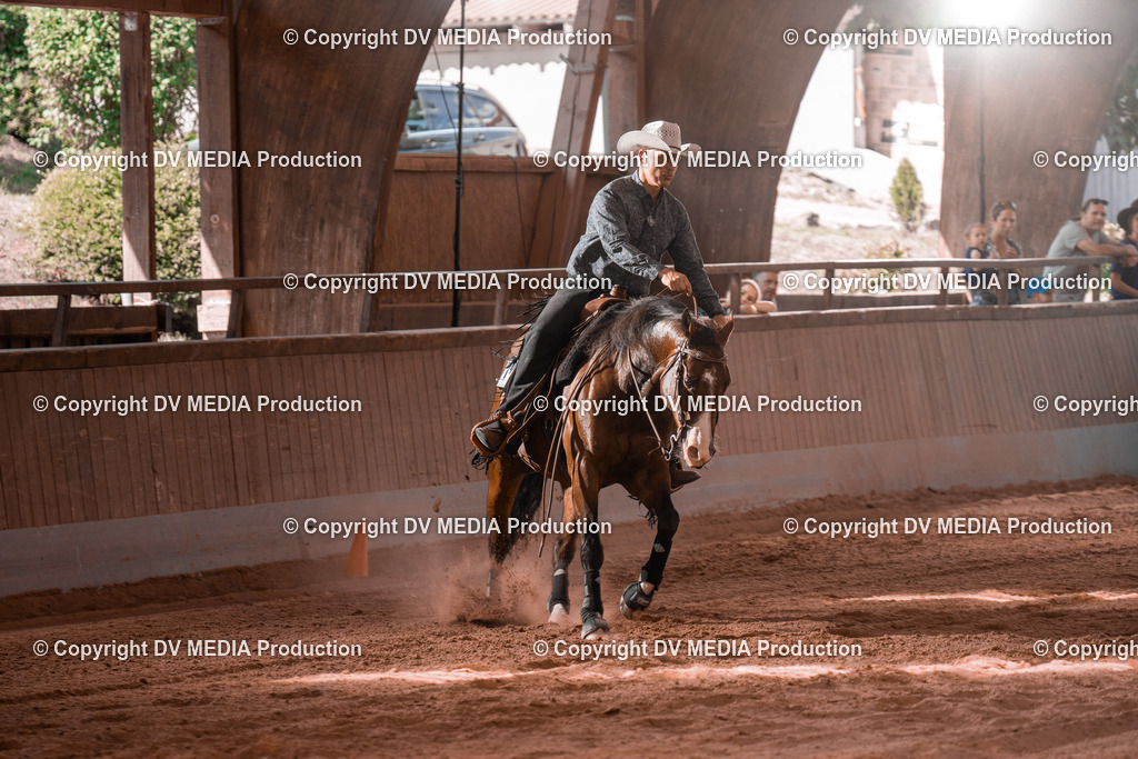 NE201039 | dv-media-shop - Realisiert mit Pictrs.com