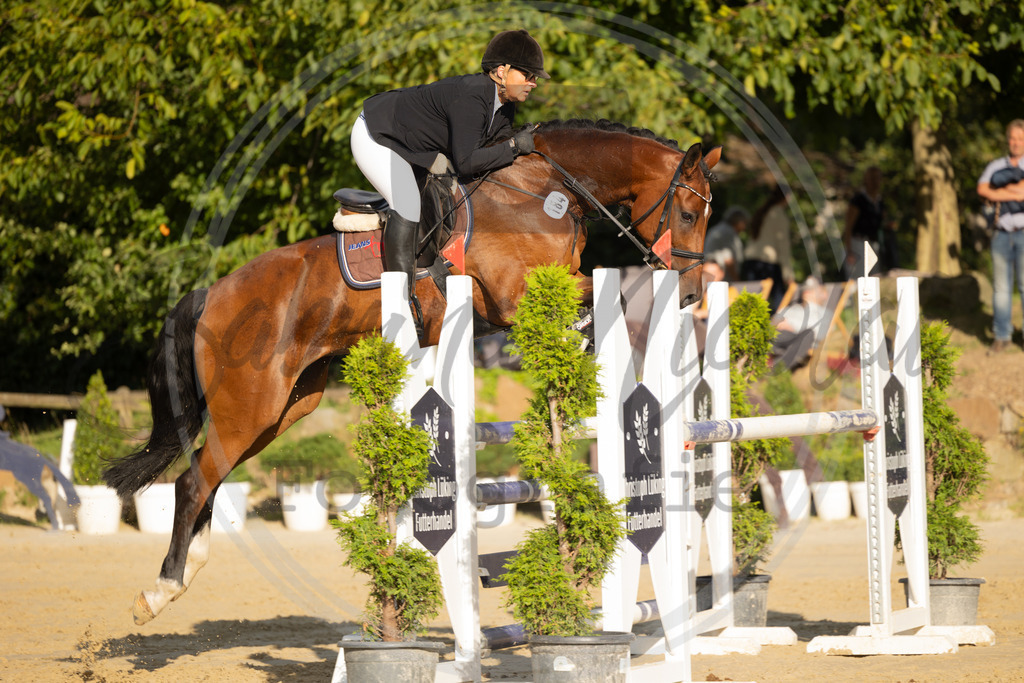 994A8644 | sabrinanicolaifotografie - Realisiert mit Pictrs.com