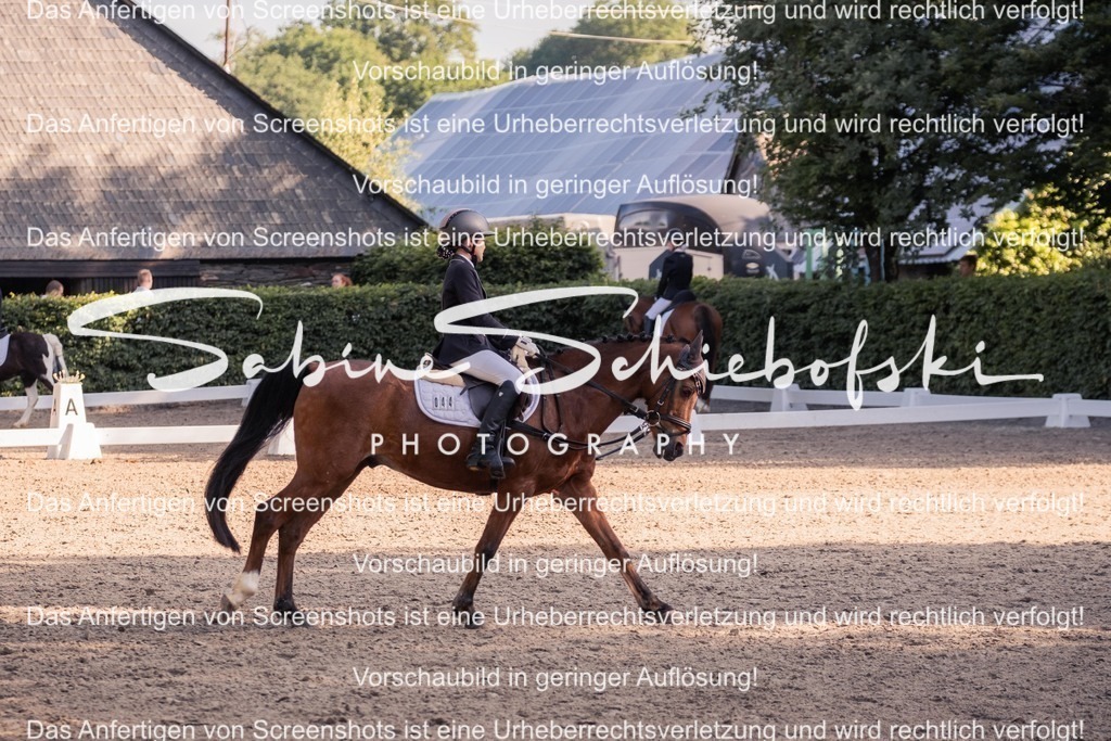 2025_05_31_DSCF2730 | People- und Tierfotografie, Imageaufnahmen, Veranstaltungsfotografie und Wandbilder aus der Natur ★ Made in Germany ✔️ Druck + Downloads ✔️ Naturfotografie in Top Qualität ★ schneller Versand, weltweite Lieferung! - Realisiert mit Pictrs.com