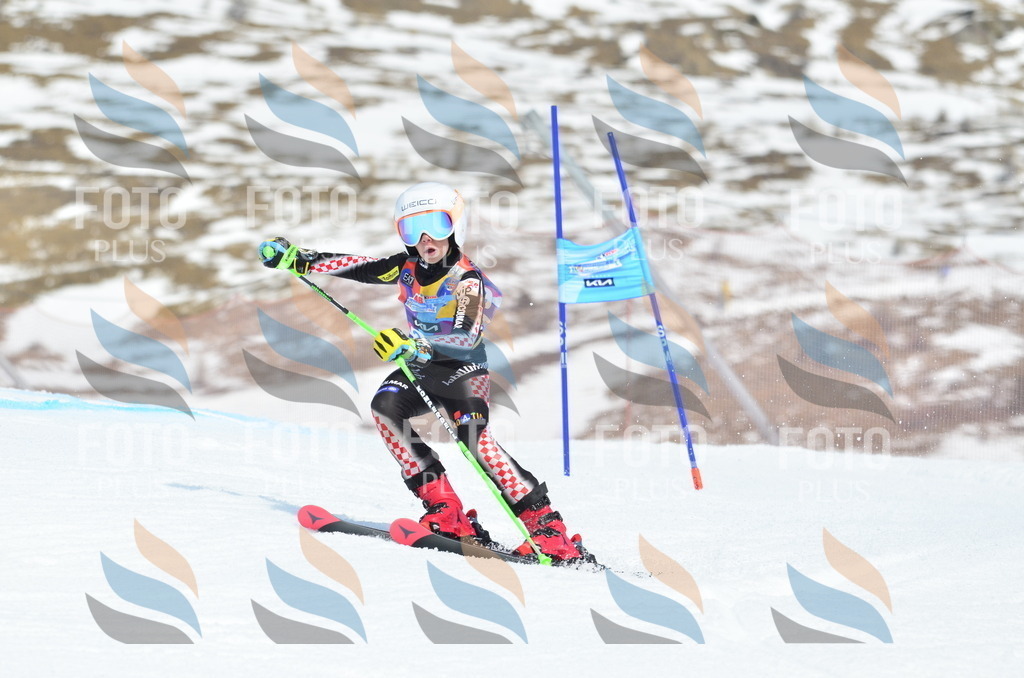 _ELE2315 | holidayphoto