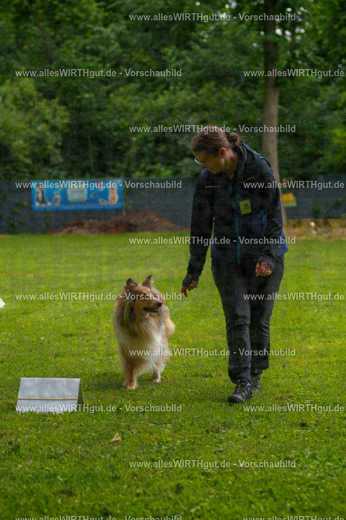 @allesWIRTHgut_Tierfotografie - www.allesWIRTHgut.de - 7R503073 | Professionelle Tierfotografie in Mönchengladbach von Daniel Wirth (allesWIRTHgut). Liebevolle & natürliche Bilder von Hunden & Katzen für unvergessliche Erinnerungen.