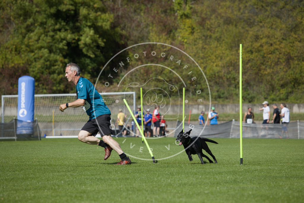 0L8A6341 | Hundefotografie, Tierfotograf, Pfotenfotografie, Fotoshooting Hund, Hunde Portrait, Hundesport, Hundeportraits, Heideshooting, Hunde, Sportfotograf, Hundefotograf, Turnierhundsport, THS,  - Realisiert mit Pictrs.com