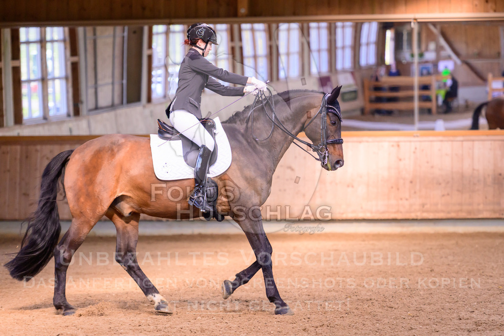 11042026-Mammendorf-Prfg28-2-0396 | Fokus Hufschlag Fotografie - Realisiert mit Pictrs.com