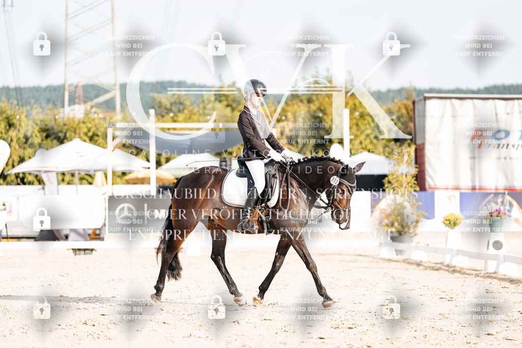 CK903793 | Turnierfotografie Pferdefotografie Trier Rheinland-Pfalz Pferdesport Reitsport Tierfotografie Sportfotografie Pferdevideo Pferdevideografie Equestrianvideography equestrianphotography  - Realisiert mit Pictrs.com