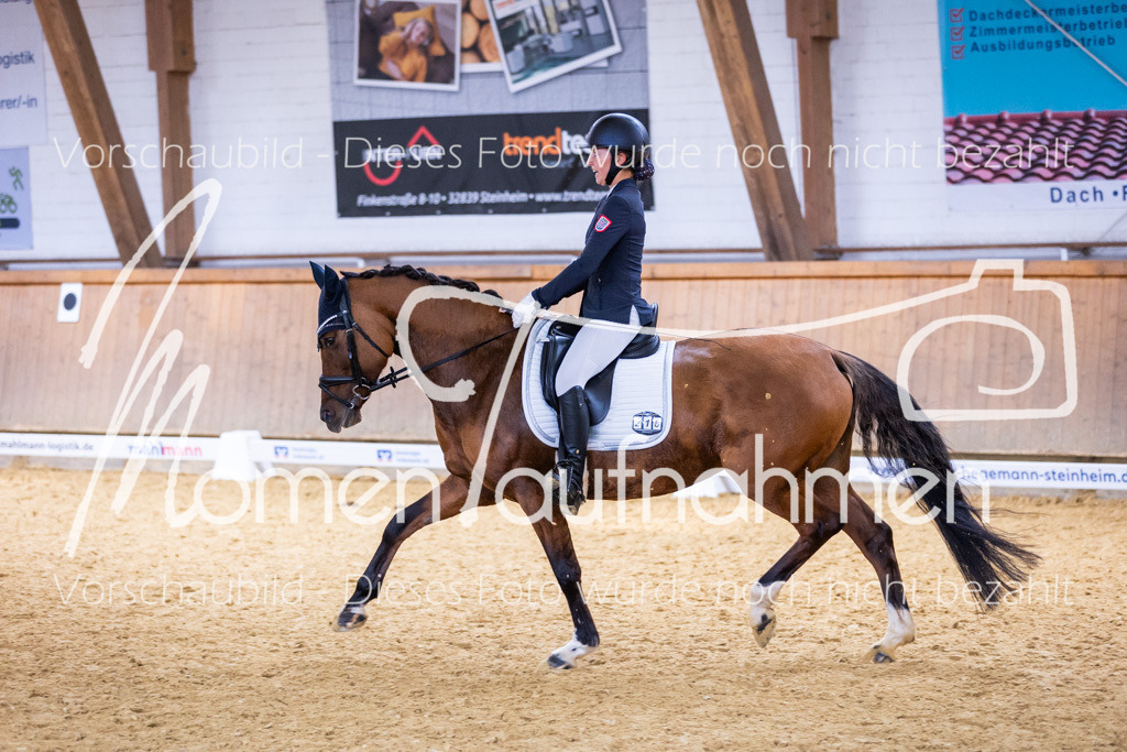 Sth-A-Dre-2St-221 | MomenTaufnahmen Pferdesportfotos