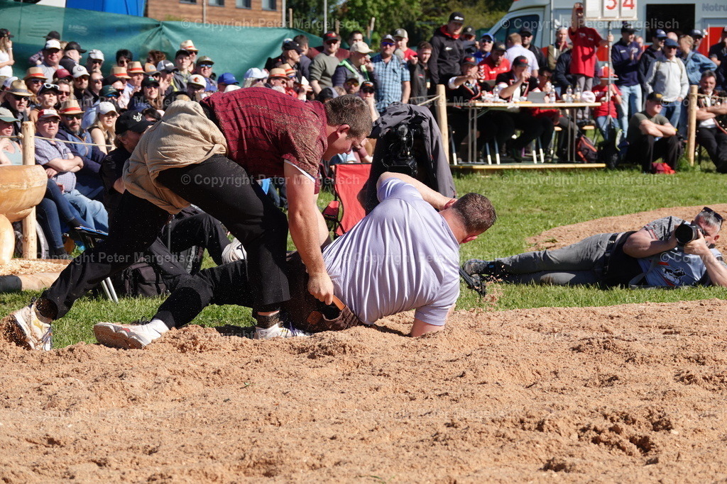 DSC00887 | Schwingen - Realisiert mit Pictrs.com