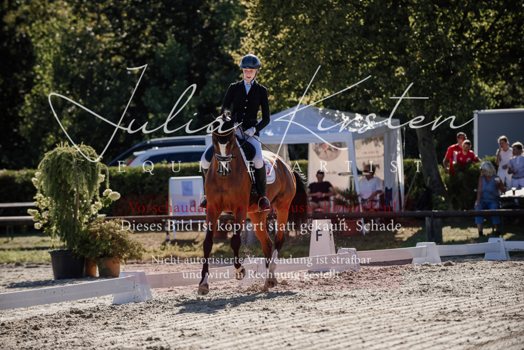 DSC_0354 | Pferde- und Turnierfotografie in Westsachsen. Pferdeportraits, Auftragszeichnungen und intuitive Kunst.