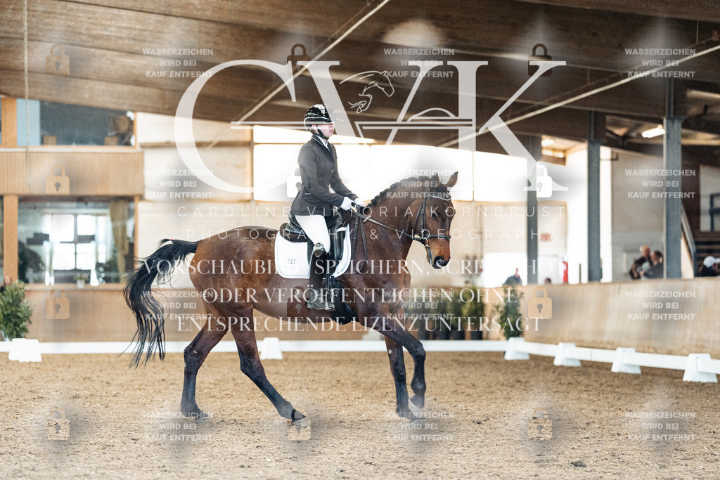 CK908848 | Turnierfotografie Pferdefotografie Trier Rheinland-Pfalz Pferdesport Reitsport Tierfotografie Sportfotografie Pferdevideo Pferdevideografie Equestrianvideography equestrianphotography  - Realisiert mit Pictrs.com