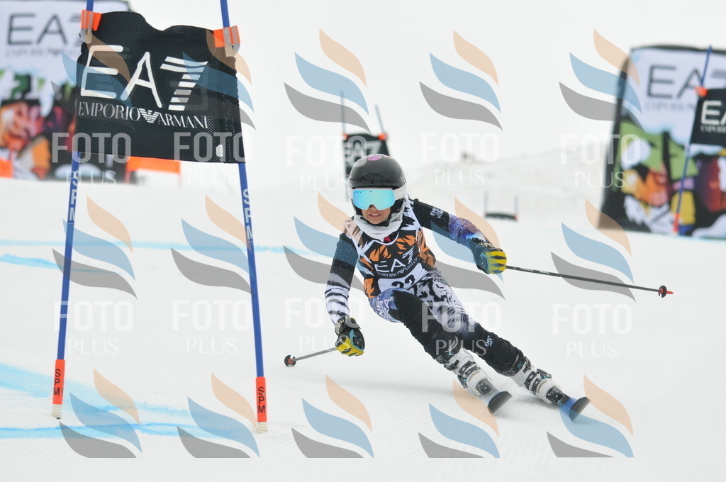 DSC_7481 | holidayphoto