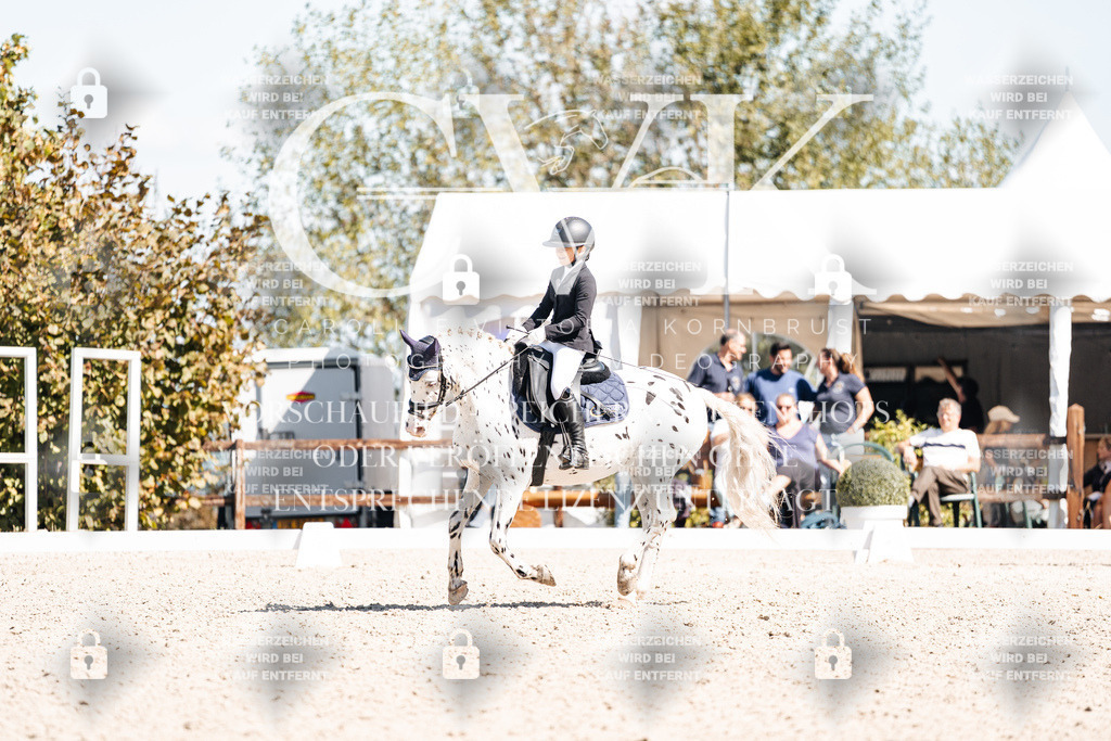 CK904162 | Turnierfotografie Pferdefotografie Trier Rheinland-Pfalz Pferdesport Reitsport Tierfotografie Sportfotografie Pferdevideo Pferdevideografie Equestrianvideography equestrianphotography  - Realisiert mit Pictrs.com