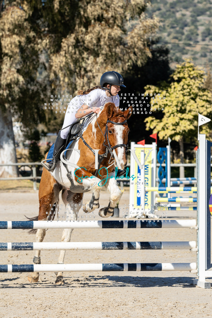 IMG_9072 | s-jay-photography - Realisiert mit Pictrs.com