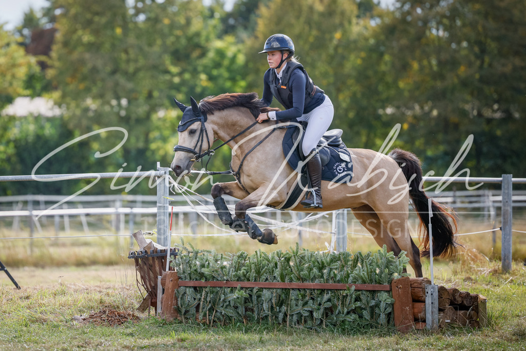20250905-_3LI1851 | Tierfotografie Pferde, Hunde, Katzen, Haustiere.
Turnierfotografie Reitturniere, Reiten, Springreiten, Dressur in Hanau, dem Main-Kinzig-Kreis und dem Rhein-Main- Gebiet um Frankfurt