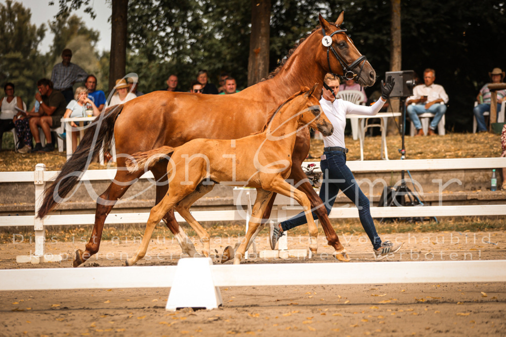 SaPA00031 | Leoni Ertmer Photography - Realisiert mit Pictrs.com