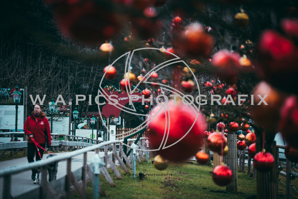 A-Willdoner_20251223_302 | Sport-,  Presse- und Eventbegleitung!
Contact me !
