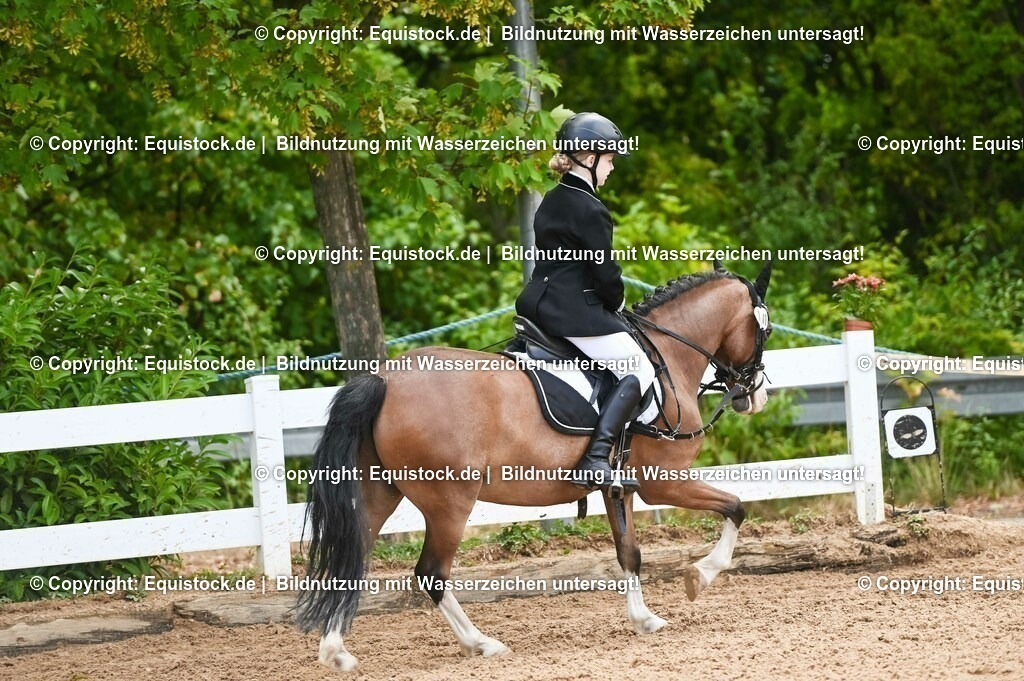 20230716_10-2_Reiter-WB Schritt - Trab - Galopp_0135 | equistock