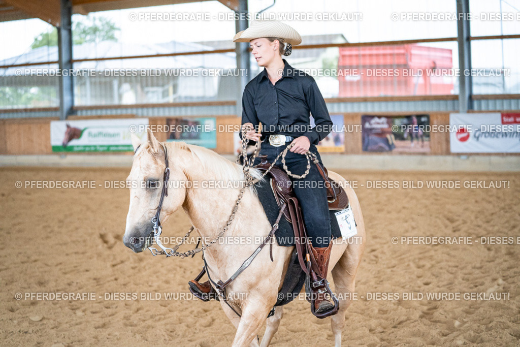 DSC03013 | Pferdegrafie