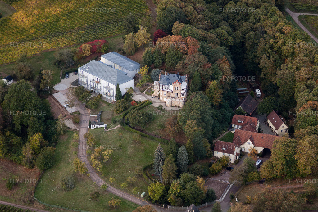 Luftbild: Klinikgelände des Rehabilitationszentrums der Rehaklinik BioMed - Fachklinik für Onkologie, Immunologie und Hyperthermie in Bad Bergzabern im Bundesland Rheinland-Pfalz in Deutschland. Foto: IMG_22421.jpg vom 15.10.2009 durch Werner Riehm/FLY-FOTO.de