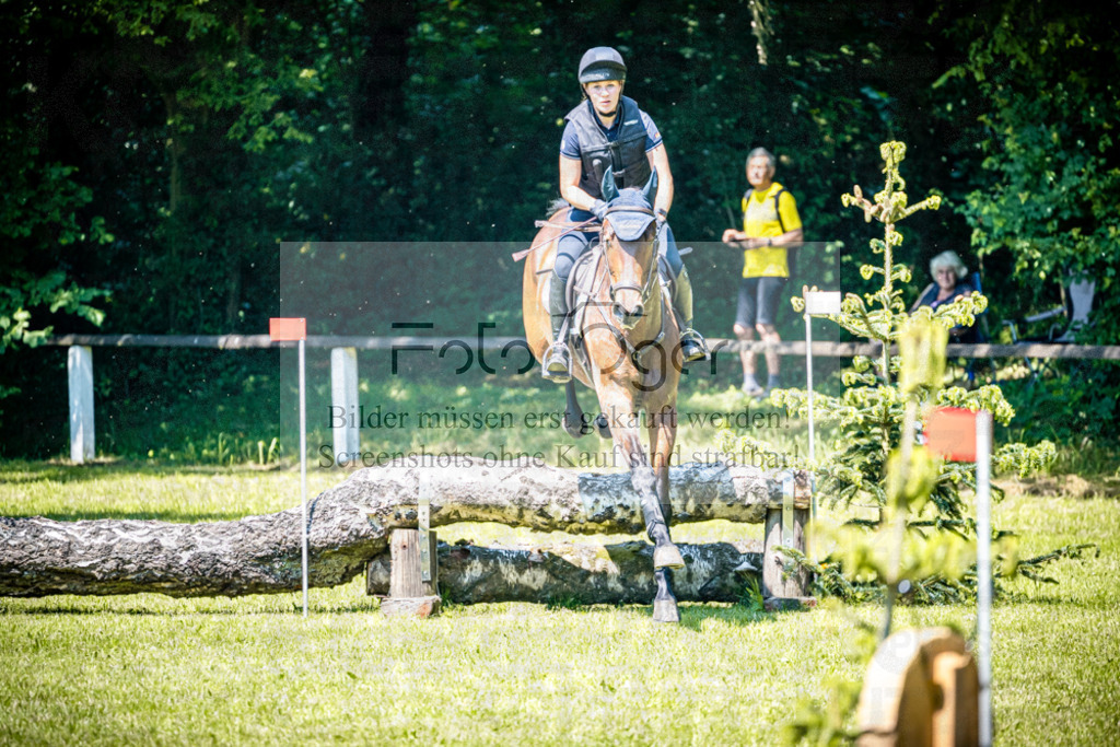 2026-05 - Melle Oldendorf-1-0023 | Entdecke hochwertige Reitturnierfotos von Foto Oger. Professionell, emotional und authentisch – jetzt Lieblingsmomente im Shop bestellen.Deutschlandweite Turnierfotografie. - Realisiert mit Pictrs.com