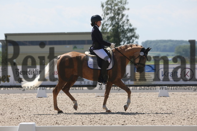Rot am See_2024_Prfg.Nr.21_Qual.BCH_und_LCH_5-jähr.Ponys_Mona Honold_Erna 65 (1) | Alle Fotos der Reiterjournal Fotografin Doris Matthaes im Reiterjournal Online-Fotoshop. - Realisiert mit Pictrs.com