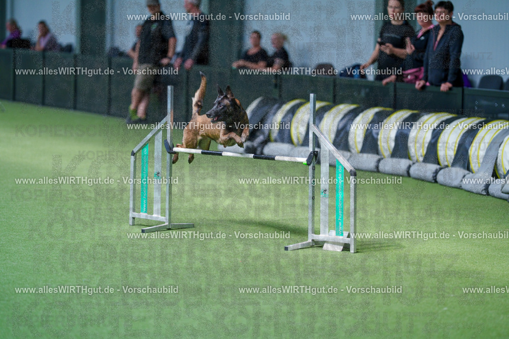 @allesWIRTHgut_Tierfotografie - www.allesWIRTHgut.de - 2604261405-7R503396 | Professionelle Tierfotografie in Mönchengladbach von Daniel Wirth (allesWIRTHgut). Liebevolle & natürliche Bilder von Hunden & Katzen für unvergessliche Erinnerungen.