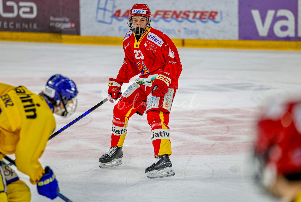 EHCB vs HCD-0849 | Sportbilder, Sportfotograf, Hochzeits- und Eventfotografin, Flugshows, Portraits und Tiershooting, Aviation, Downhill, Nationalleague, Swissleague, International