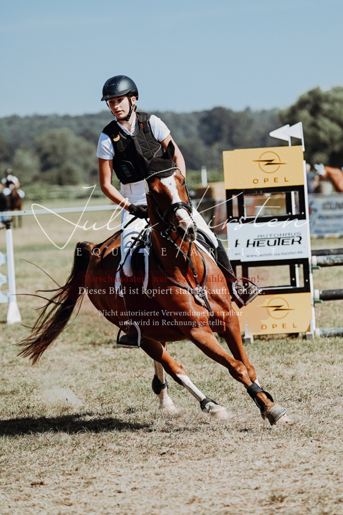 DSC_9936 | Pferde- und Turnierfotografie in Westsachsen. Pferdeportraits, Auftragszeichnungen und intuitive Kunst.
